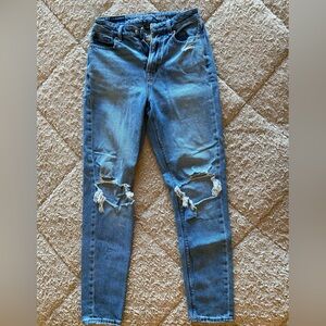 American Eagle Blue Mom Jeans